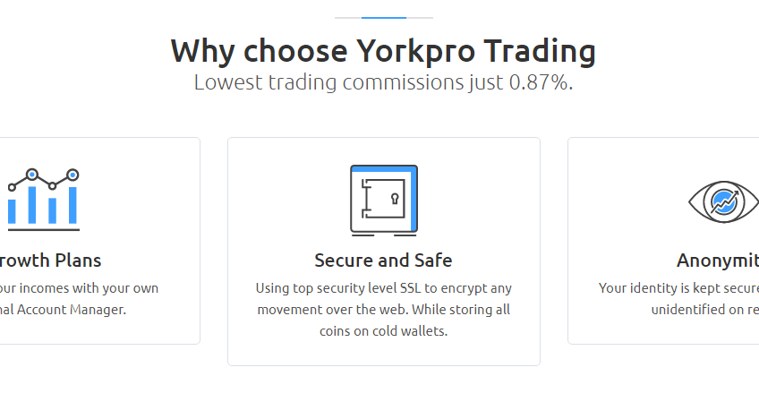 yorkpro